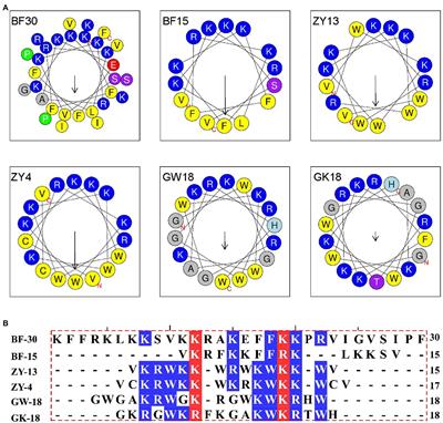 A designed antimicrobial peptide with potential ability against methicillin resistant Staphylococcus aureus